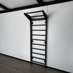 EZORA Wall Ladder - All Black Birch