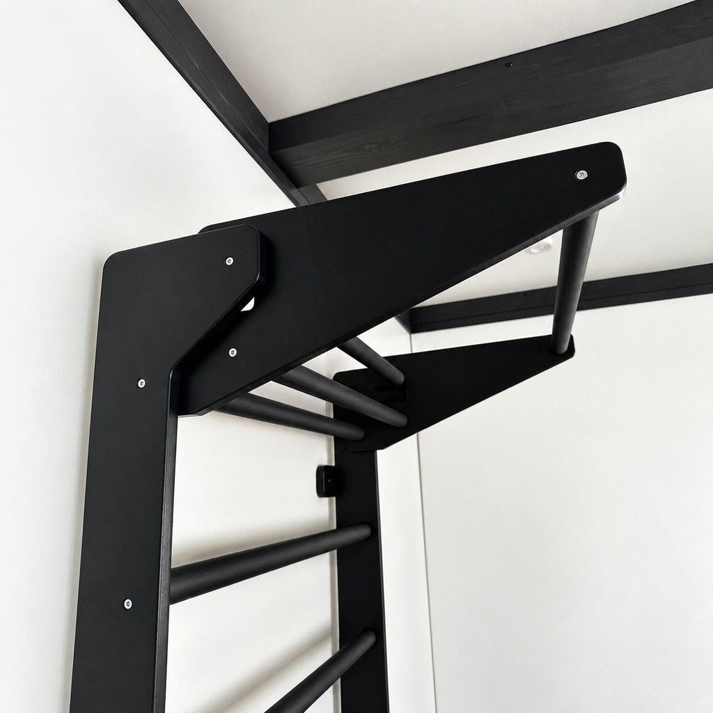 EZORA Wall Ladder - All Black Birch