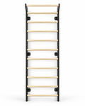 EZORA Wall Ladder - Natural + Black Birch