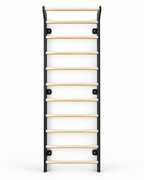 EZORA Wall Ladder - Natural + Black Birch