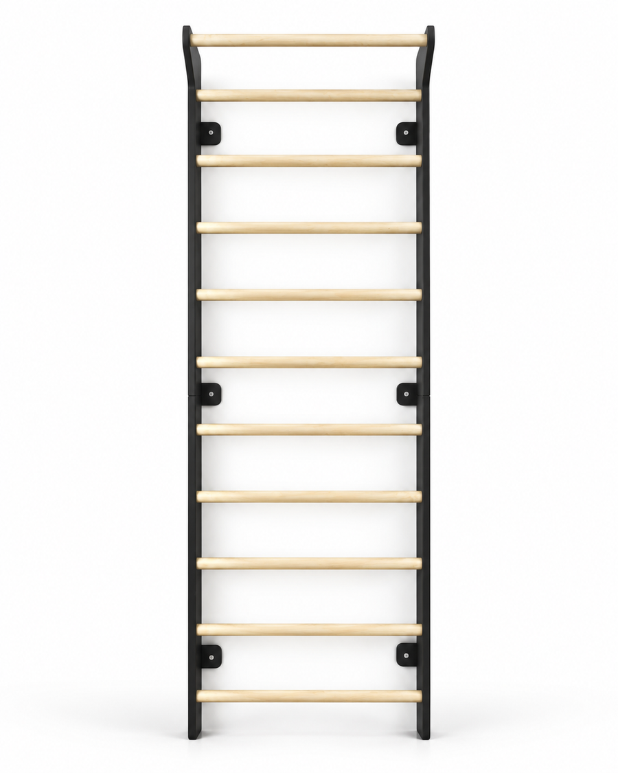 EZORA Wall Ladder - Natural + Black Birch