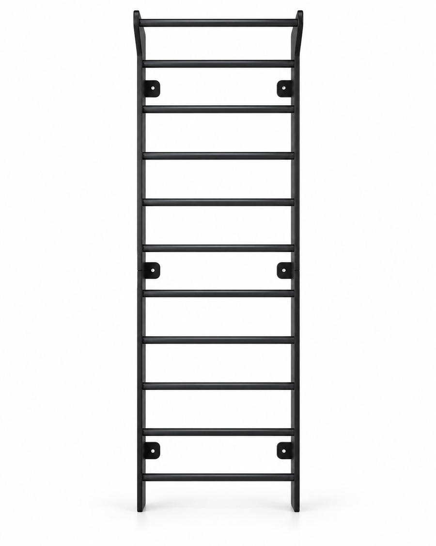 EZORA Wall Ladder - All Black Birch