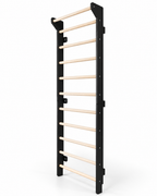 EZORA Wall Ladder - Natural + Black Birch
