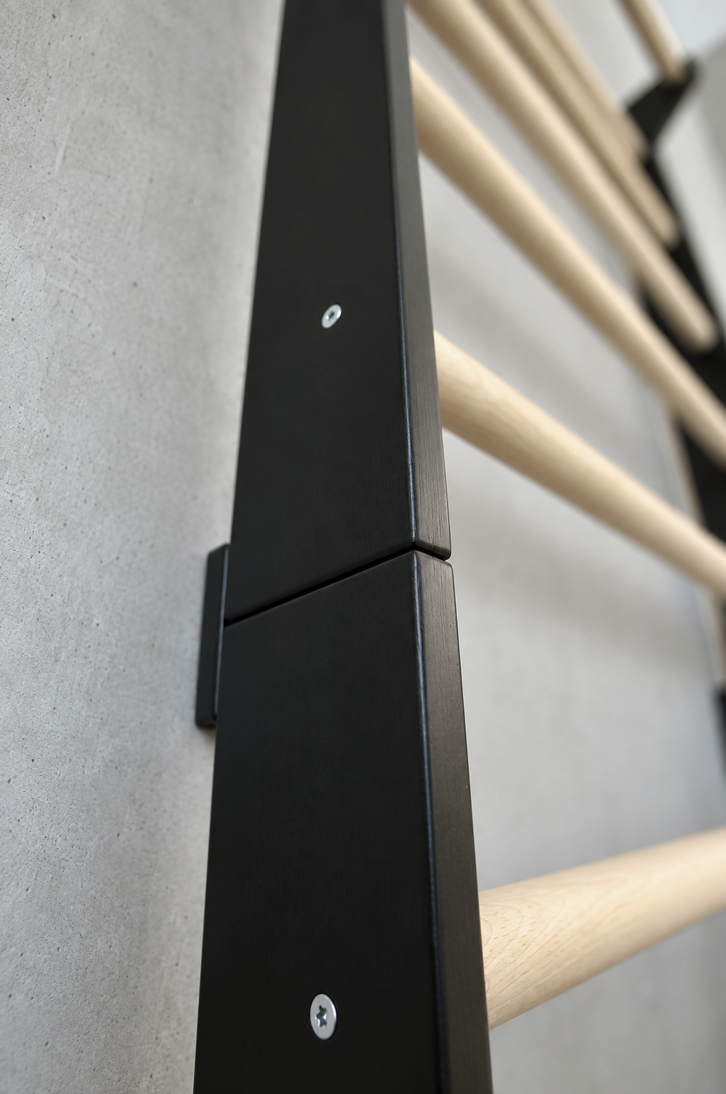 EZORA Wall Ladder - Natural + Black Birch
