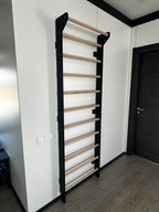EZORA Wall Ladder - Natural + Black Birch